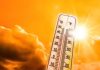 तापमान ४२.४ अंश सेल्सिअसपर्यंत वाढल्याने पुण्यात या उन्हाळ्यातील सर्वात उष्ण दिवस आहे; लोहेगाव 15 दिवसांसाठी 40 डिग्री सेल्सिअस अधिक